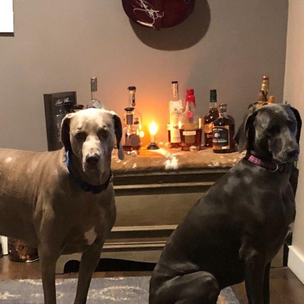 Meet your Posher, Karen